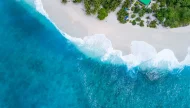 A stunning top-down aerial view of a pristine tropical beach, showing gentle white waves washing onto the white sand shore next to crystal-clear turquoise water and lush palm trees.